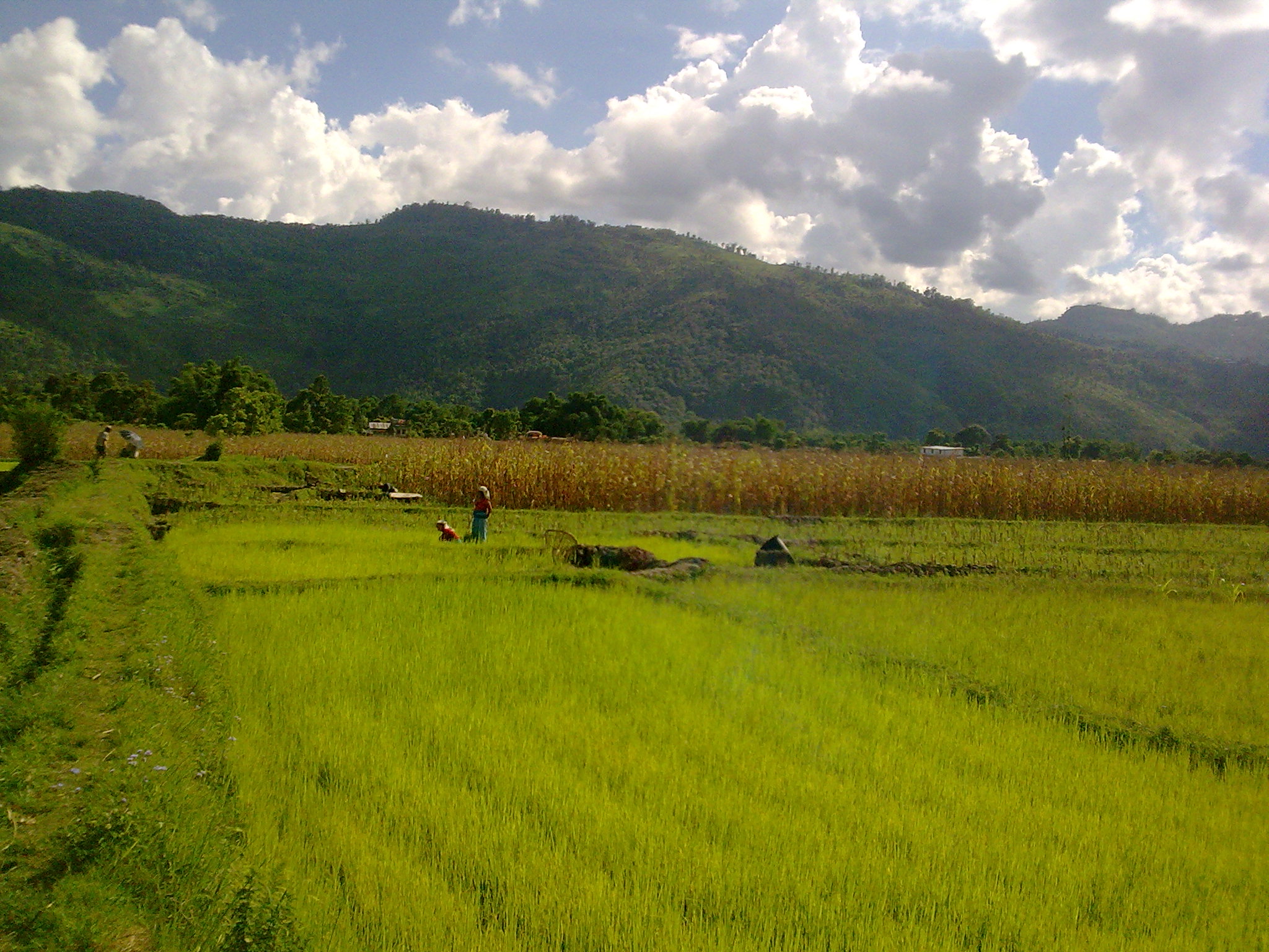 Nepal Irrigation Project Update April 2022